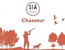 Création de comptes chasseurs