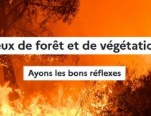 Feux de forêt