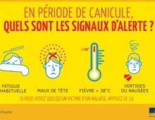 Canicule