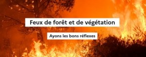 Feux de forêt