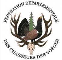 Opération ''comptages noctures lièvres Opération ''comptages noctures lièvres